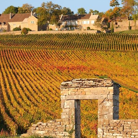 Отель Le Nid Bourguignon Чалон-Сур-Салне Экстерьер фото